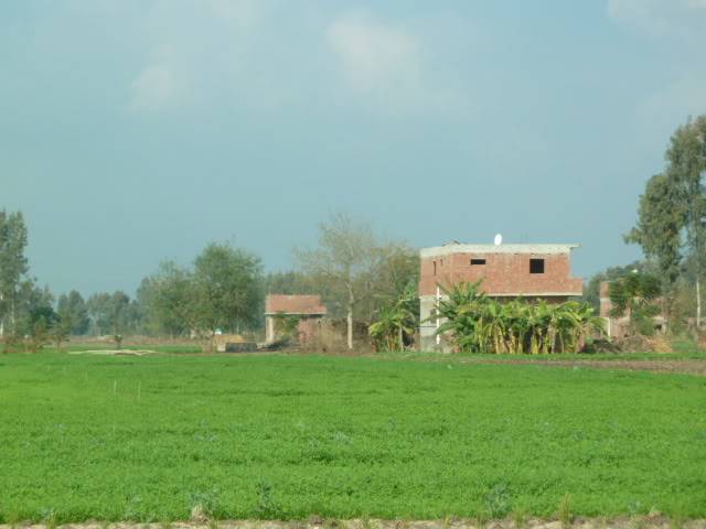 L1020136.jpg