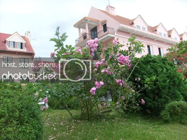 S7301789.jpg
