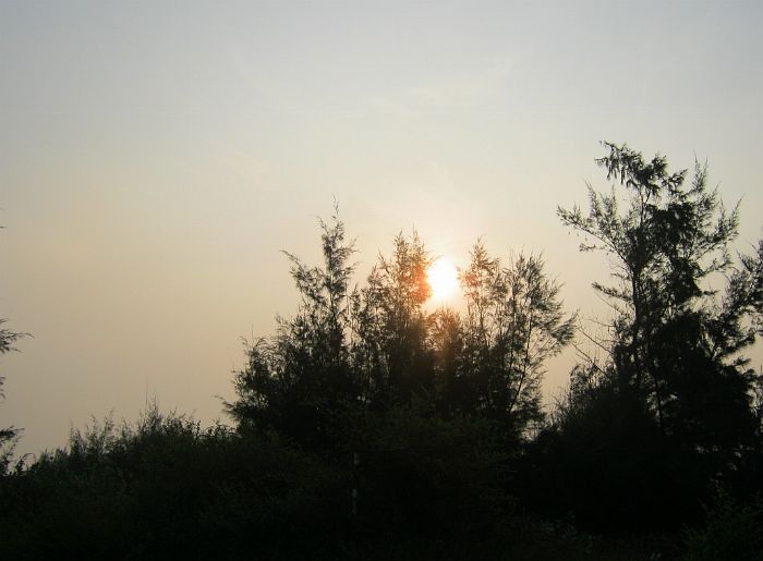 IMG_3005.jpg