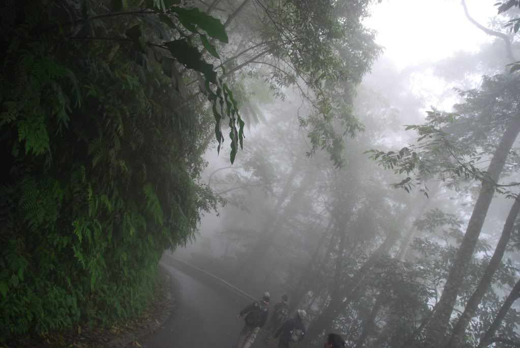 DSC_1228.jpg