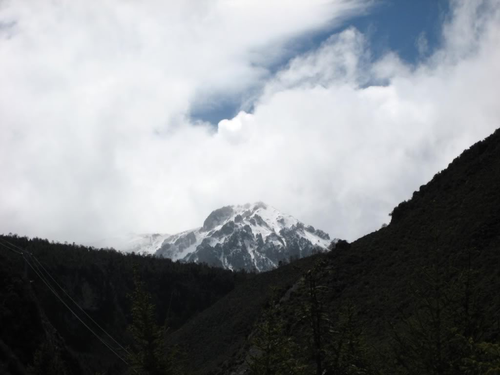 IMG_5011.jpg