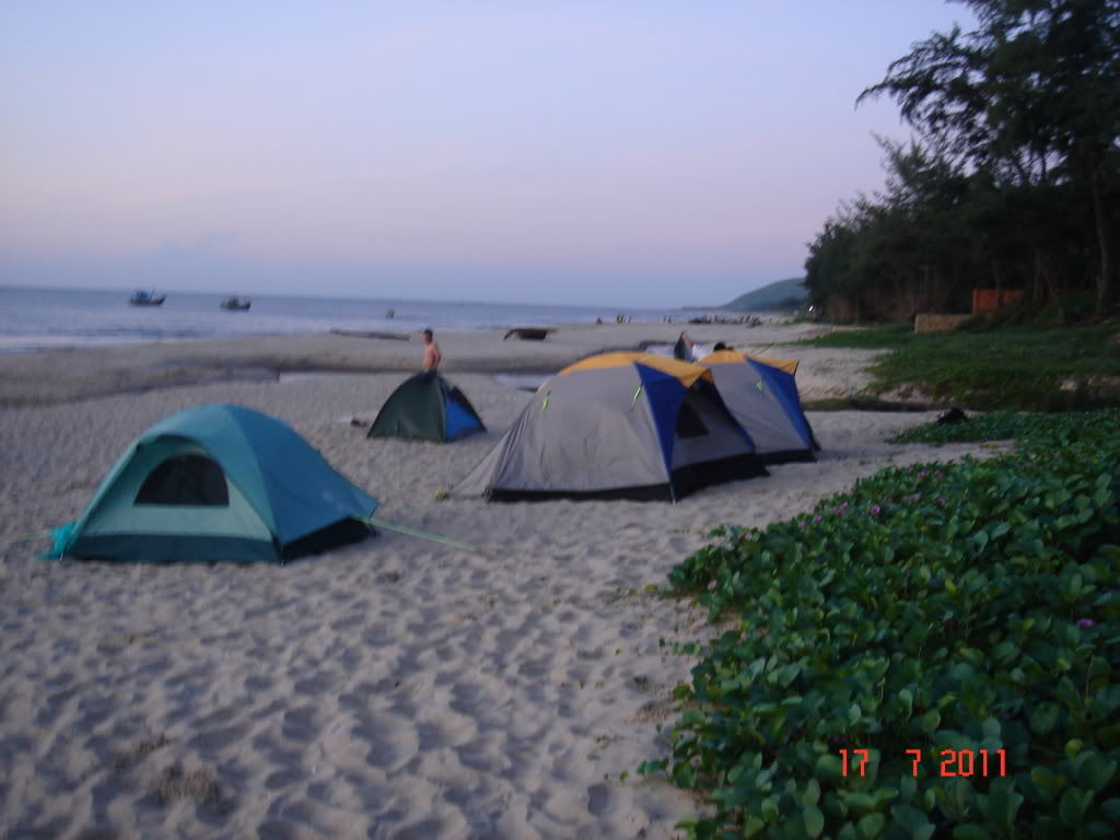 DSC01339.jpg