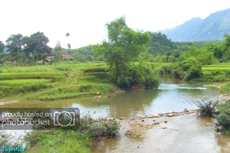 SDC12392.jpg