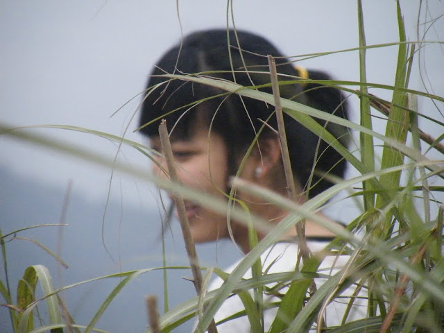 Picture%20237.jpg