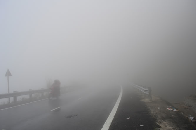 DSC_0395.jpg