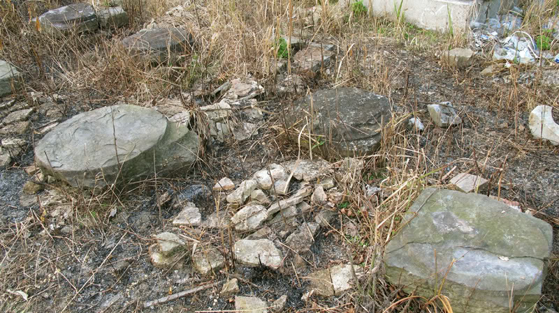 TayYenTu1010783.jpg