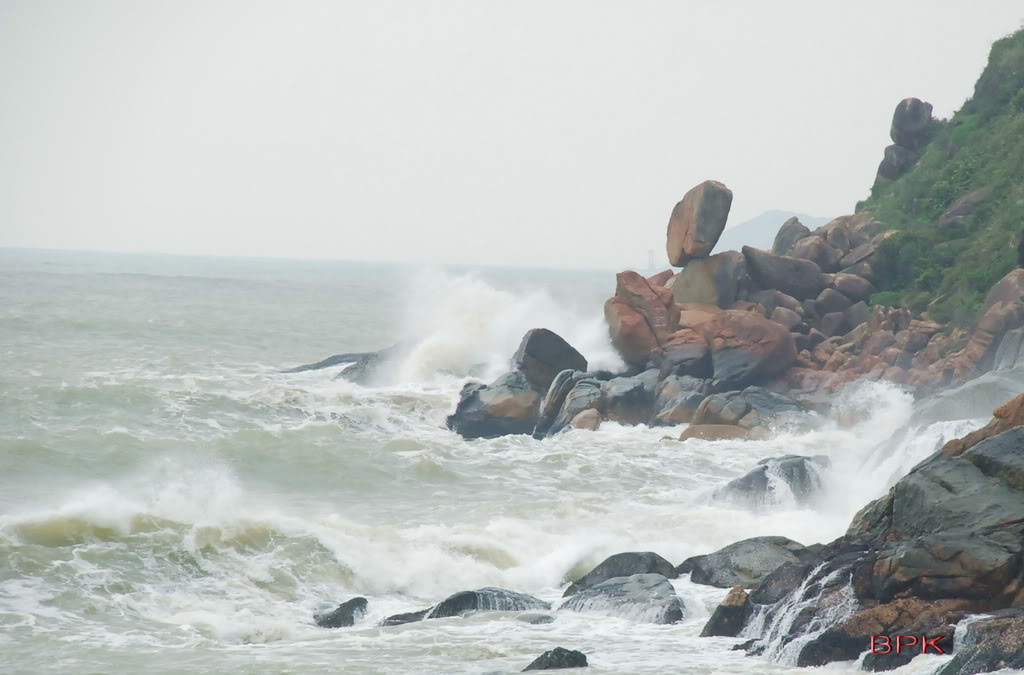 DSC_0711.jpg