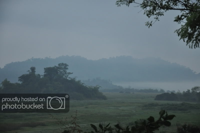 DSC_9357.jpg