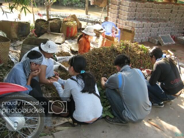 IMG_1245.jpg