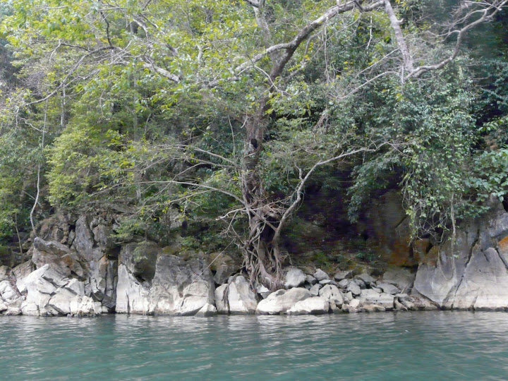 P1050533.JPG