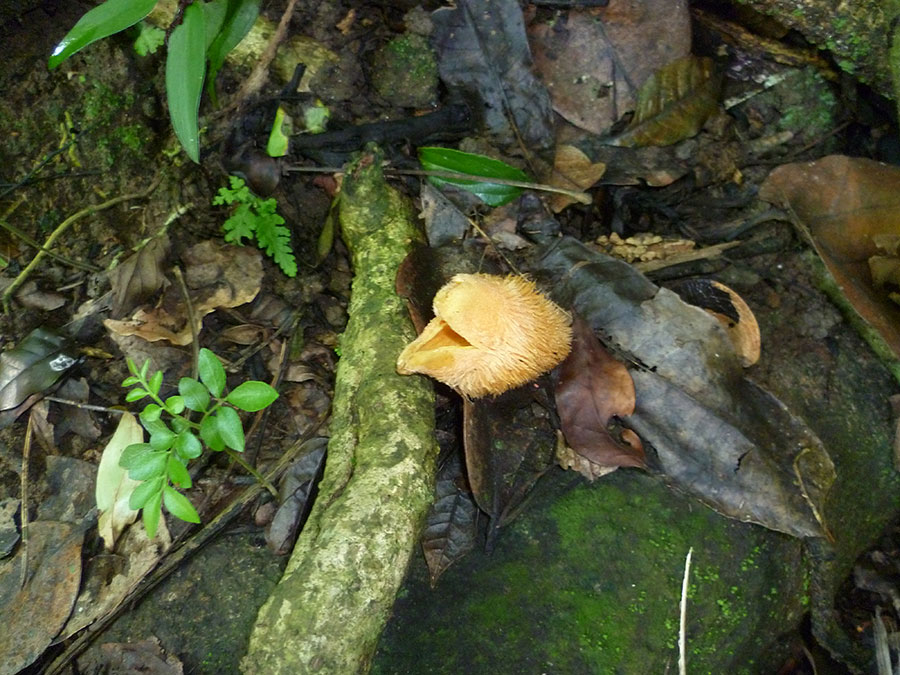 P1070262_zpsee12ea97.jpg