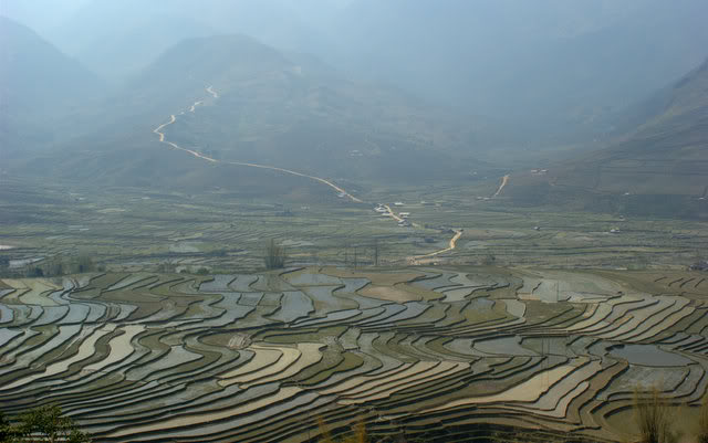 _MG_3061.jpg