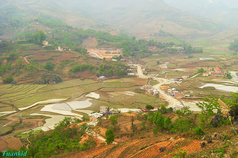 SDC16203.jpg