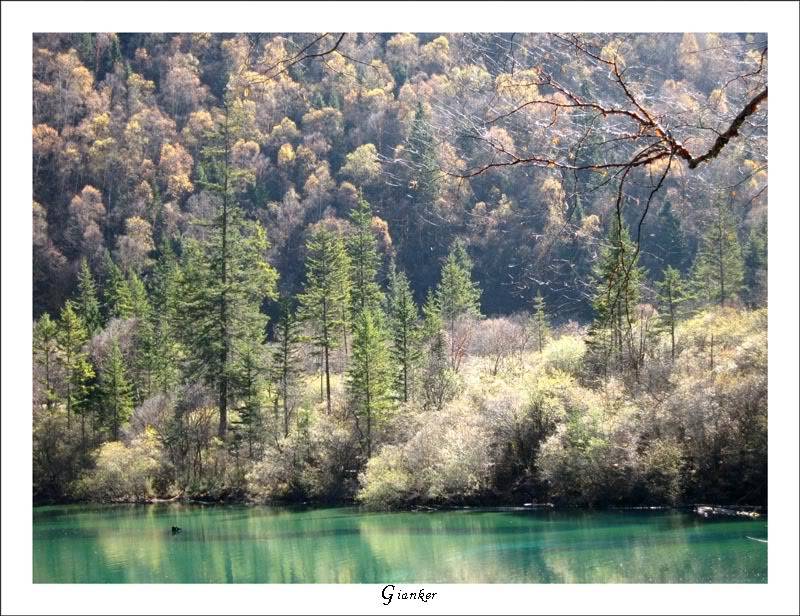 R-PandaLake6-1.jpg