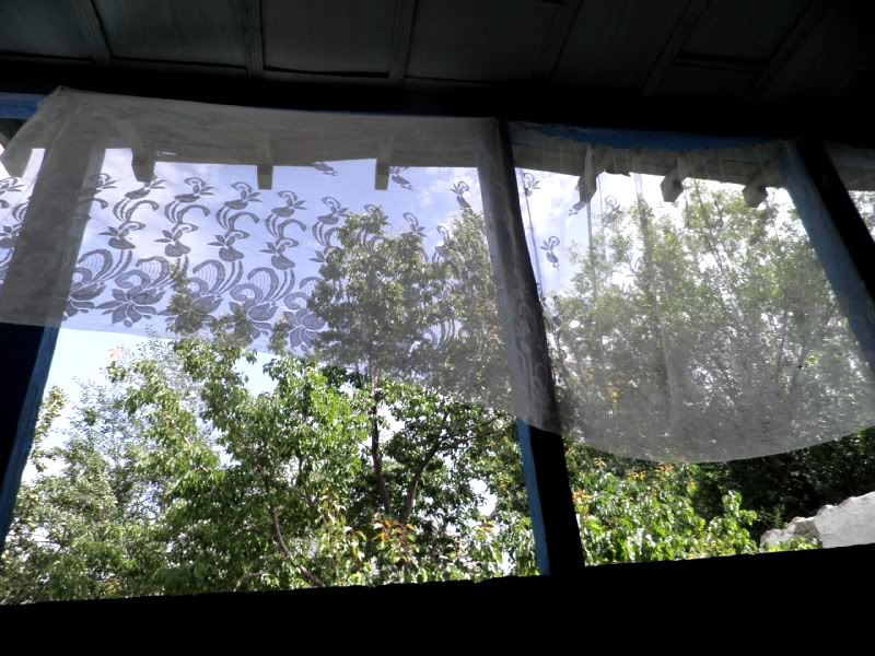 P8100587.jpg