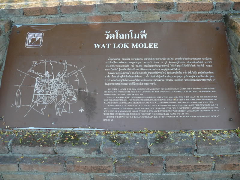 P1020286.jpg