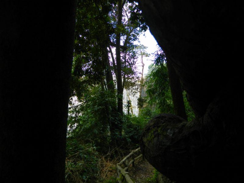 DSCN1914.jpg