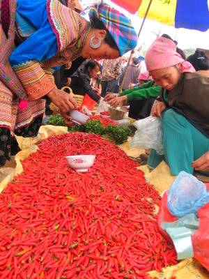 HaGiang-BacHa467.jpg