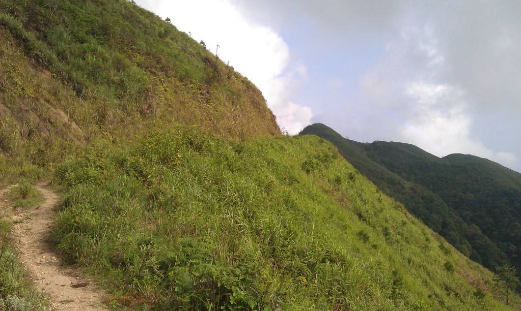 IMAG0207.jpg