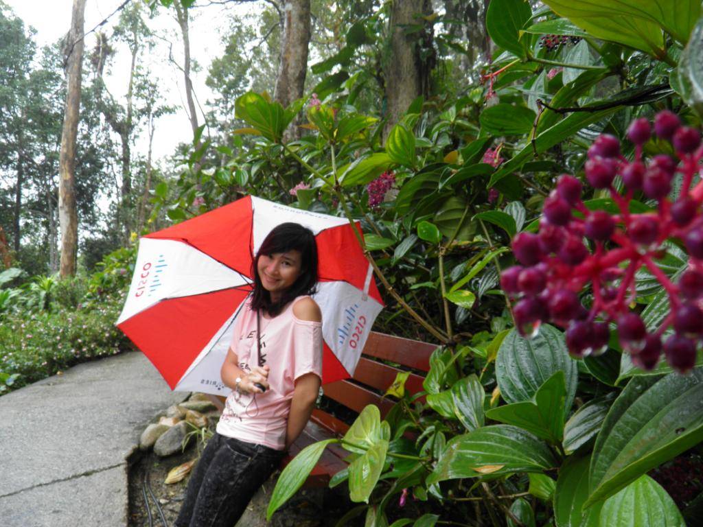 PA130737.jpg
