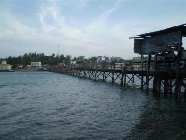 P1010231Medium.jpg