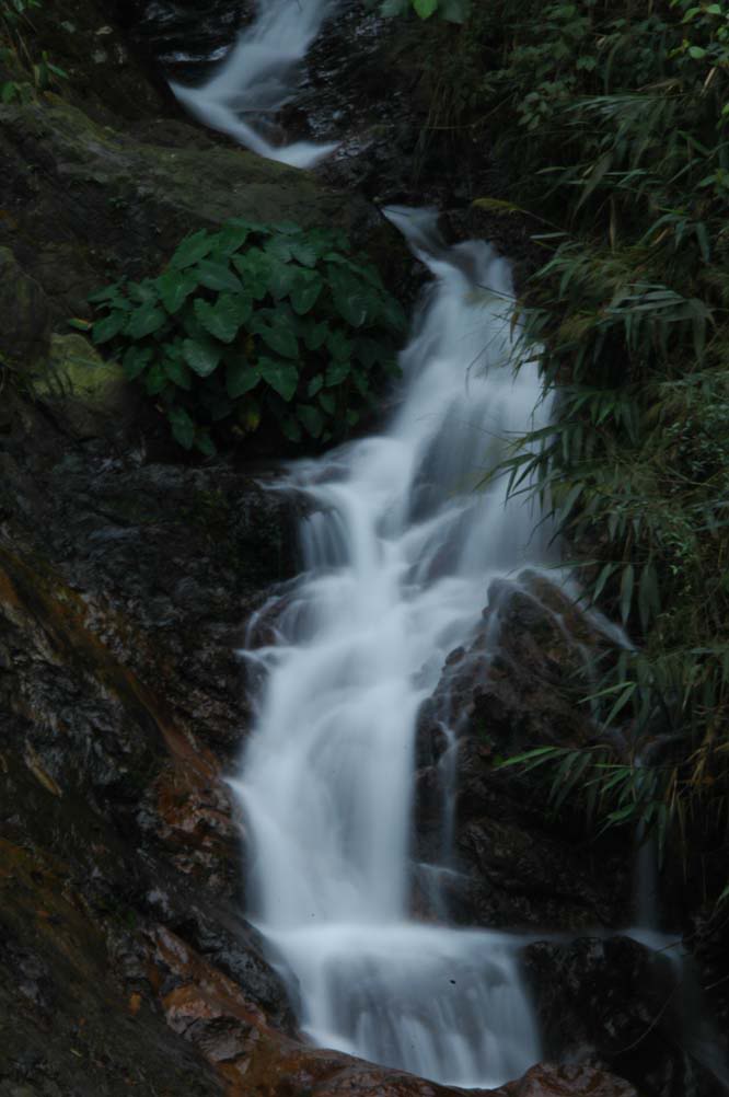 DSC_7317.jpg