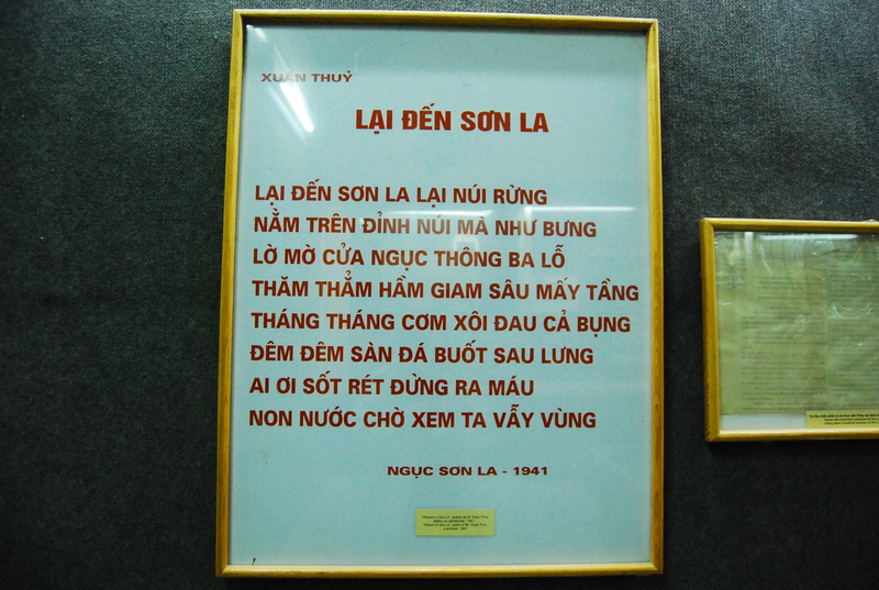 dsc8186.jpg