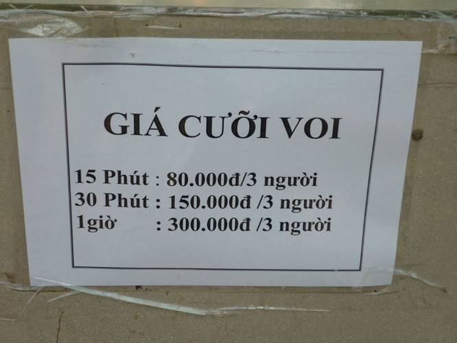 P1020626.jpg