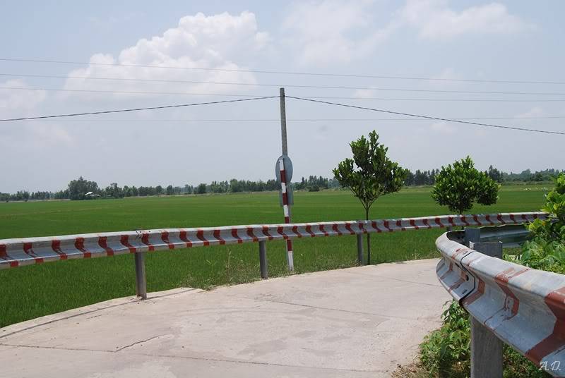 3afa3797.jpg