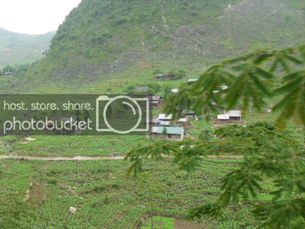 SDC15145.jpg