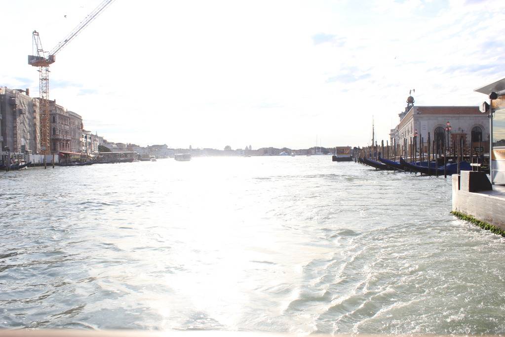 IMG_1365_zpscba2a466.jpg