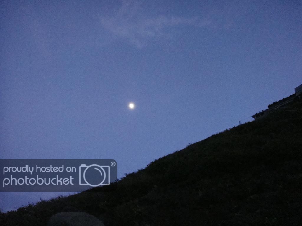 DSC09168_zpsaun30rmn.jpg