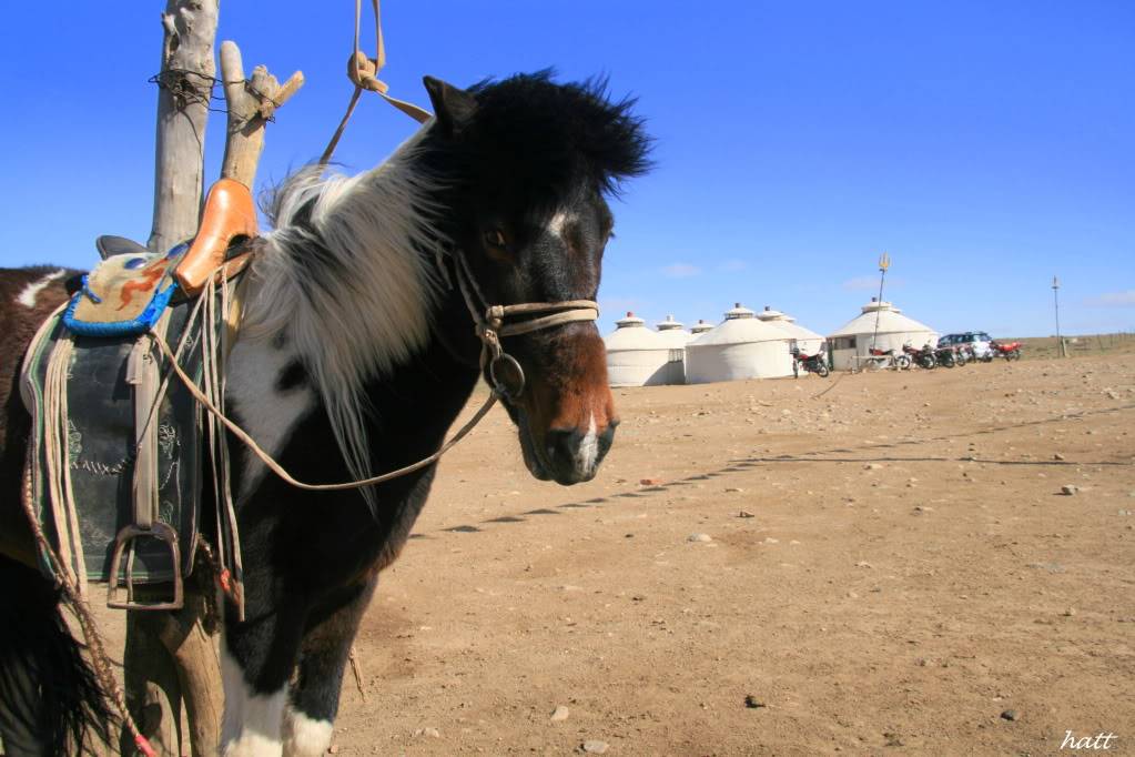 Datong787.jpg