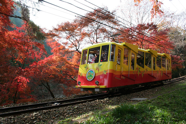 p_takaosan_009_l.jpg