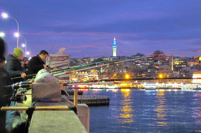IMG_0169_zpsheqyc3zl.jpg