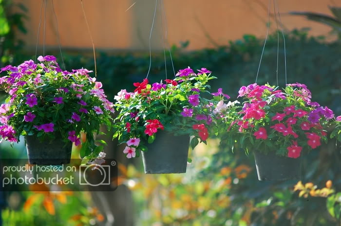 DSC_6894_resize.jpg