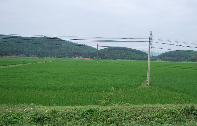 DSC_2172.JPG