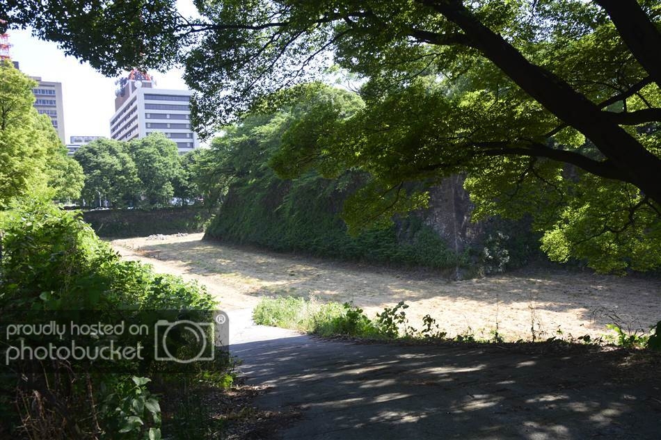 resized__SAM7848_zpscrgqnuk5.jpg