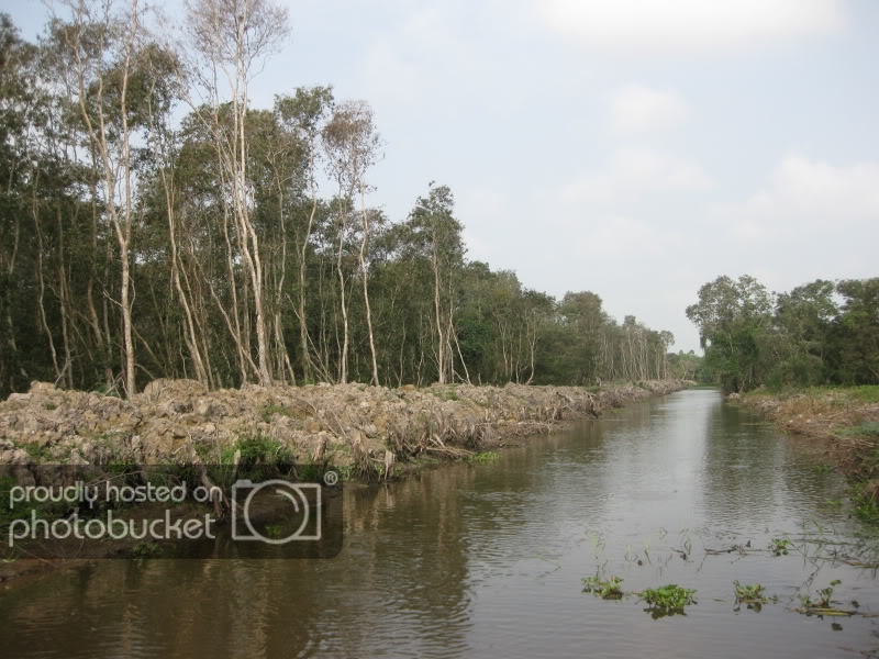 DongThapTET2011330.jpg