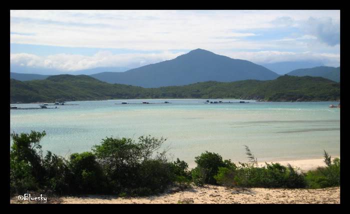 VinhVanPhong2_resize.jpg