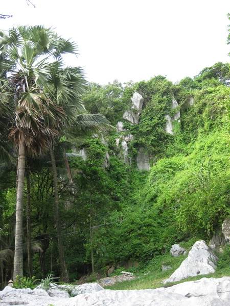 IMG_0498_resize.jpg