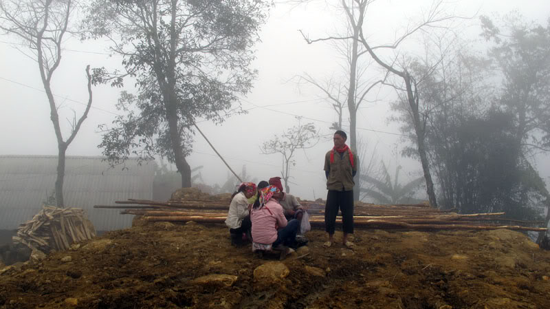 HongNgai2011363.jpg