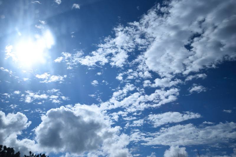 DSC_2479_zpsyqadj6eu.jpg