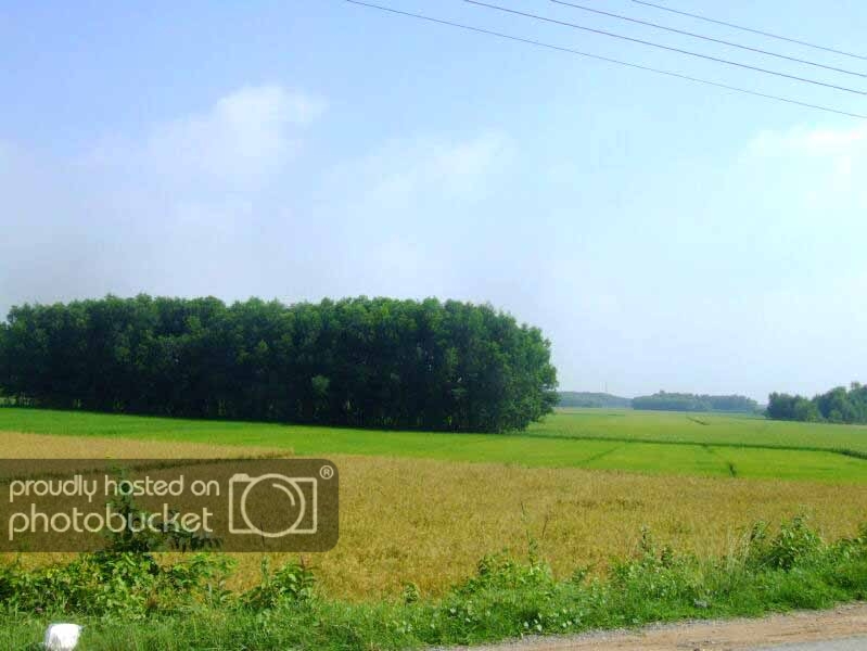 DSCF2689.jpg