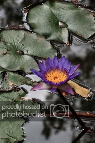 IMG_3369.jpg