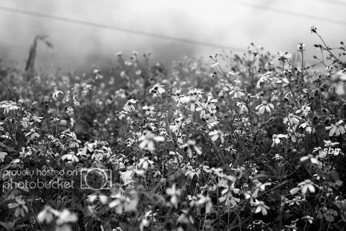 IMG_9716.jpg