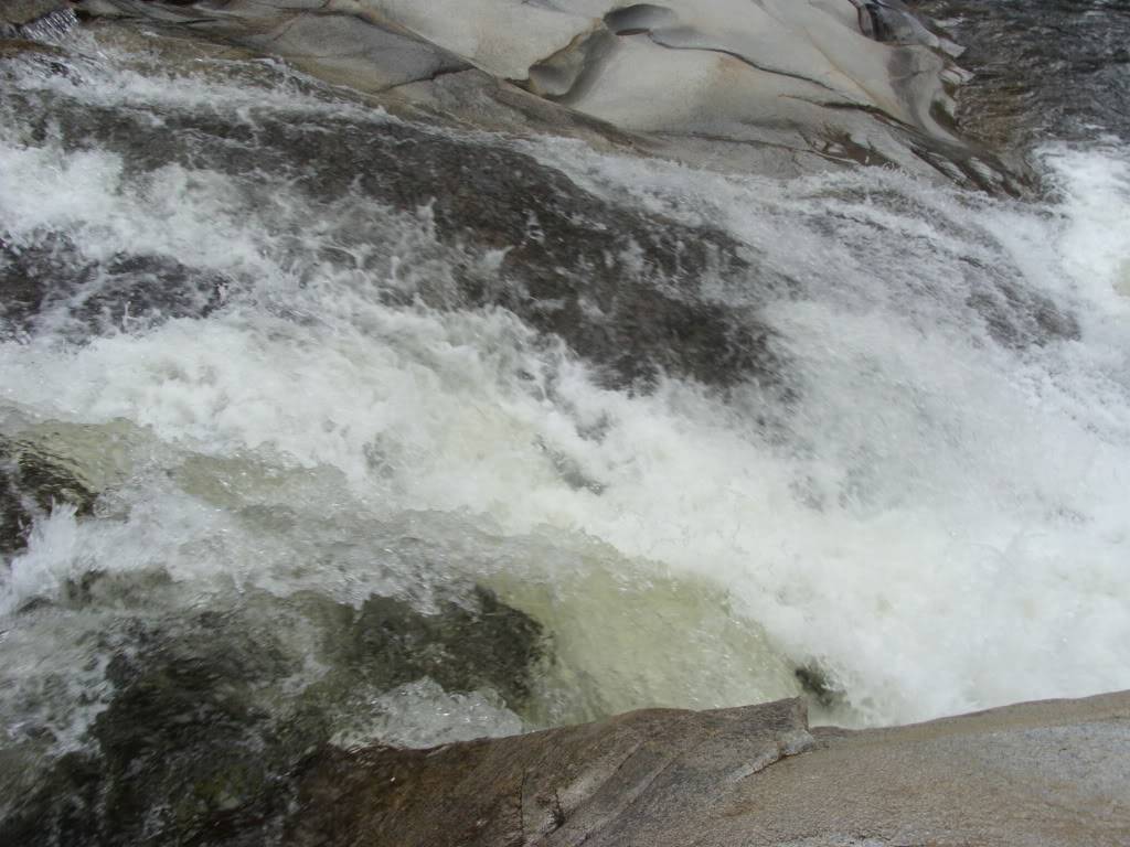 DSC00485.jpg