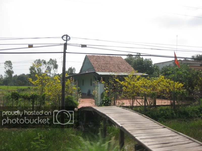 DongThapTET2011082.jpg