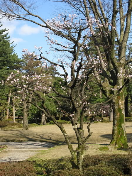 IMG_1818_resize.jpg