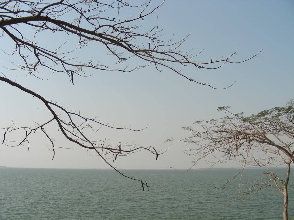 DSCN3308.jpg